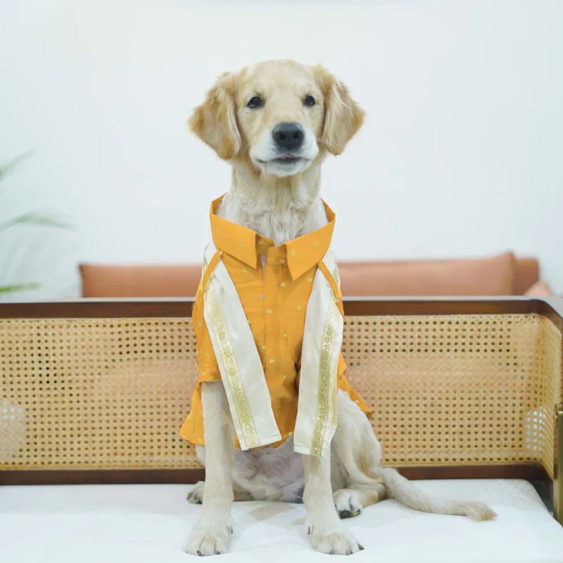 Dog Kurta Combo | Soft Cotton Ethnic Pet Wear | Festive Dog Clothes