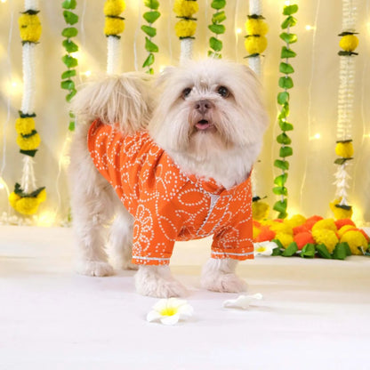 Traditional Dog Kurta | Cotton Outfit | Festive Dog Wear for Celebrations