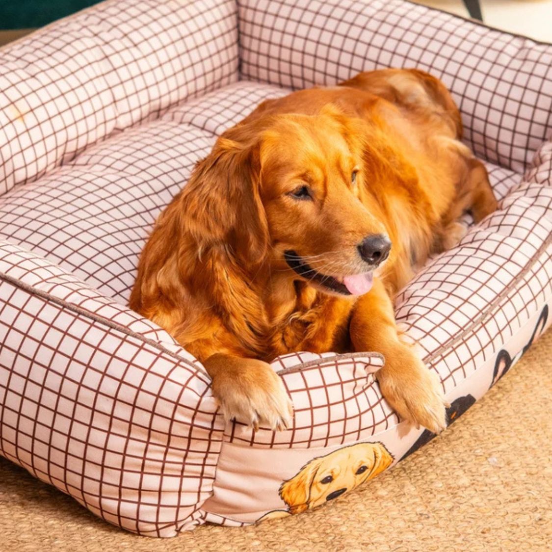 Dog Bed Orthopedic Soft Cushioned | Pet Bed for Indoor Rest Sleep