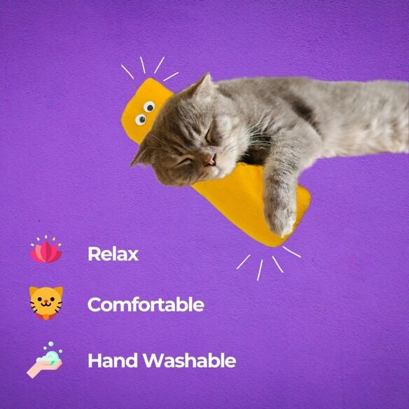 Interactive Cat Kicker Toy | Catnip Toy for Indoor Cats | Kittens & Adult Cats
