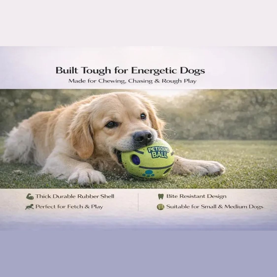 Durable Dog Ball Toy | Squeaky Chew Ball for Puppies & Adult Dogs