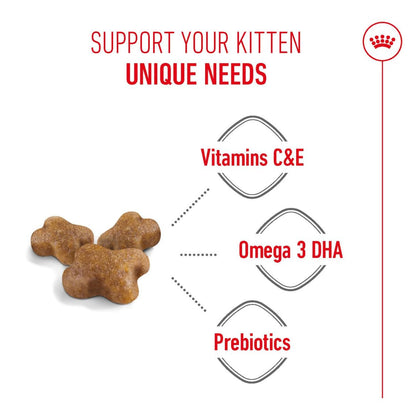 Kitten Food | Dry Kitten Food with DHA Prebiotics & Antioxidants for Growing Cats