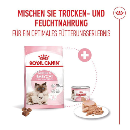 Kitten Food | Dry Cat Food for Mother Cats & Kittens with DHA & Immune Support