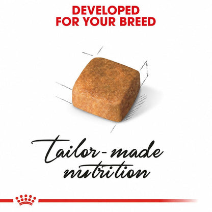 Kitten Food | Dry Kitten Food for Persian Kittens with Long Hair & Digestive Support