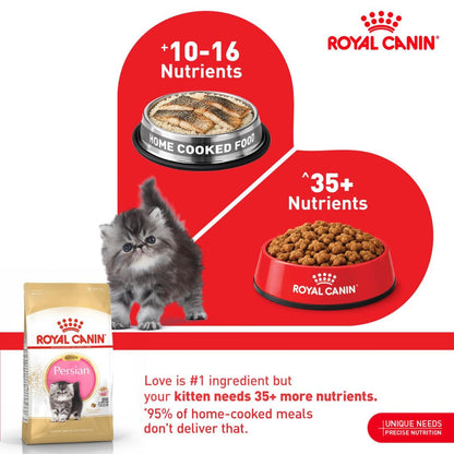 Kitten Food | Dry Kitten Food for Persian Kittens with Long Hair & Digestive Support