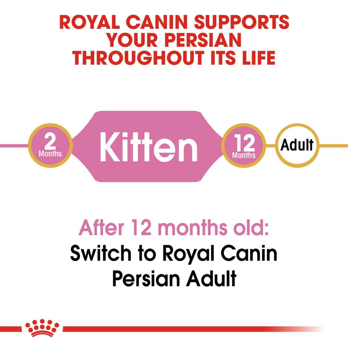 Kitten Food | Dry Kitten Food for Persian Kittens with Long Hair & Digestive Support