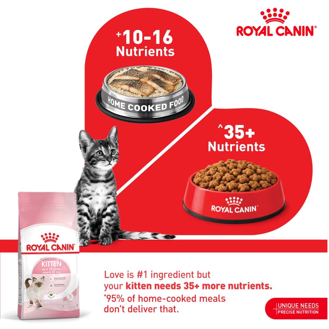 Kitten Food | Dry Kitten Food with DHA Prebiotics & Antioxidants for Growing Cats
