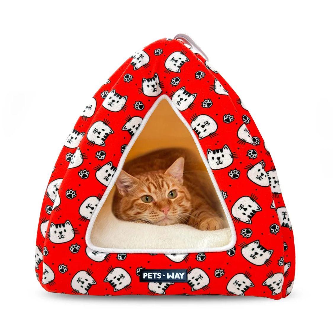 kitty pop cat bed
