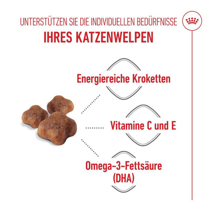 Kitten Food | Dry Cat Food for Mother Cats & Kittens with DHA & Immune Support