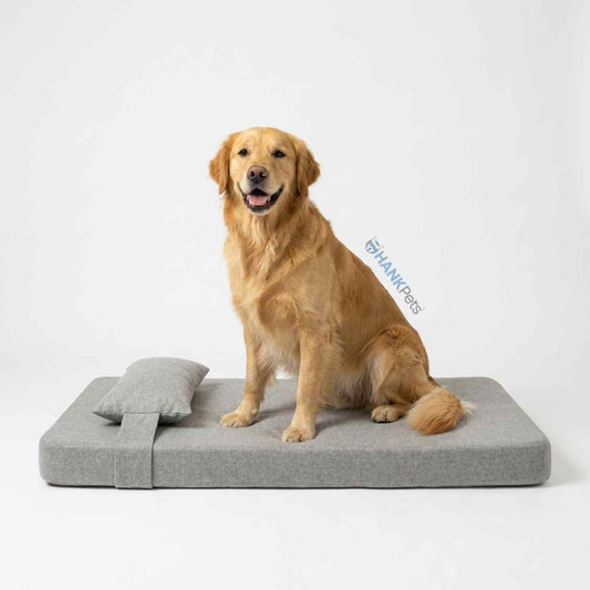 Orthopedic Dog Bed for Large Pets | Thick Foam Summer Bed