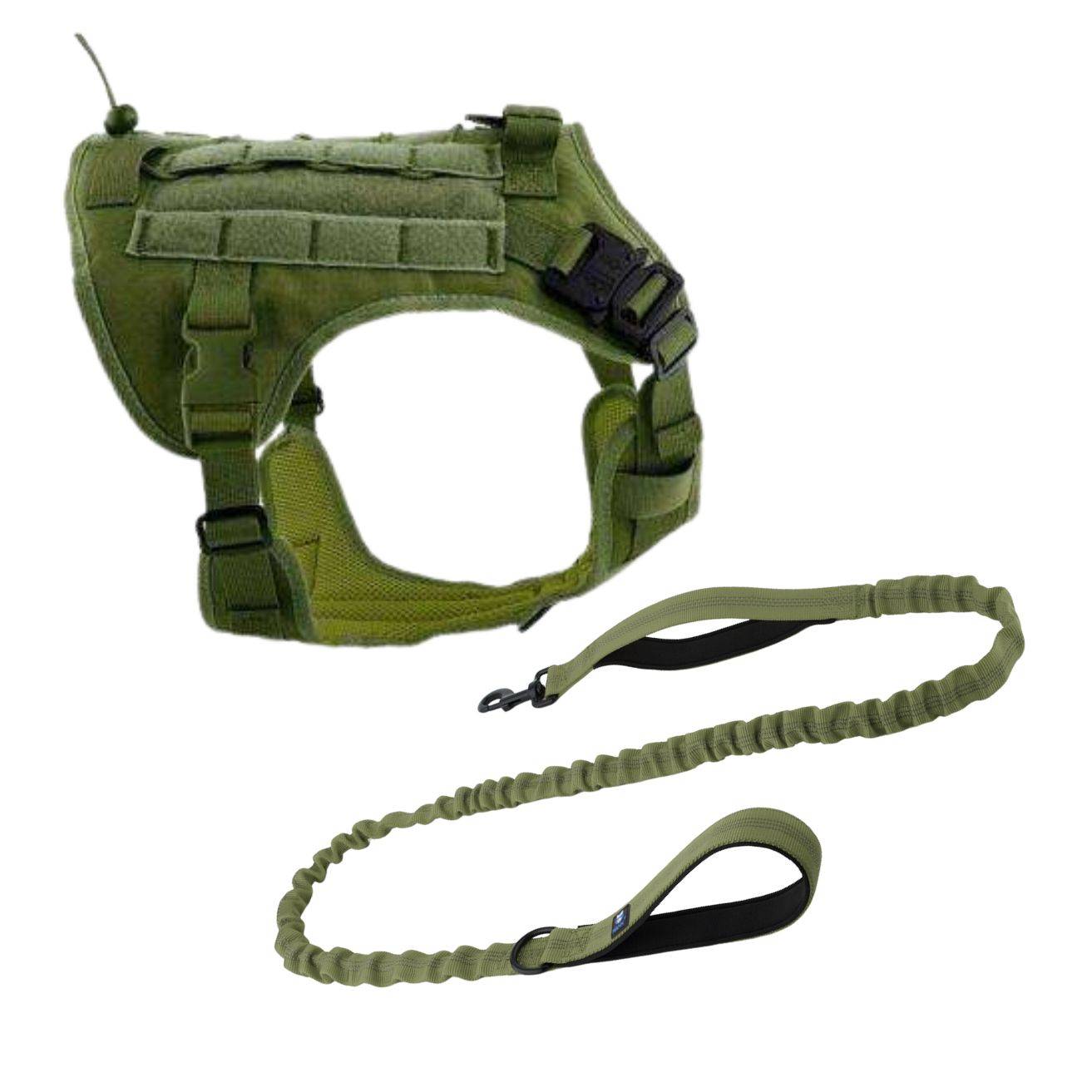 Green leash and harness combo green