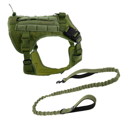 Green leash and harness combo green