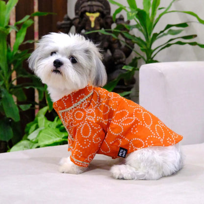 Traditional Dog Kurta | Cotton Outfit | Festive Dog Wear for Celebrations