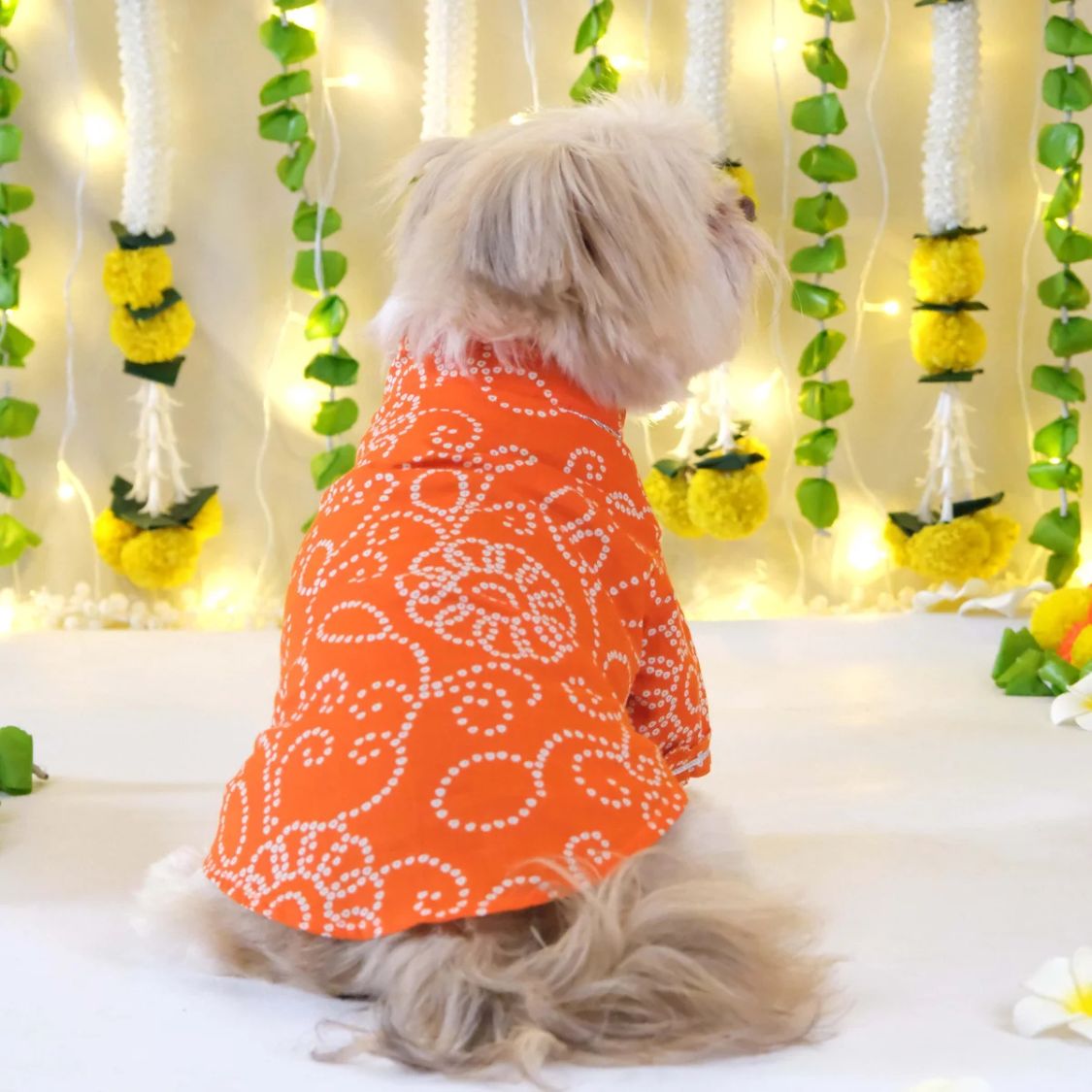 Traditional Dog Kurta | Cotton Outfit | Festive Dog Wear for Celebrations