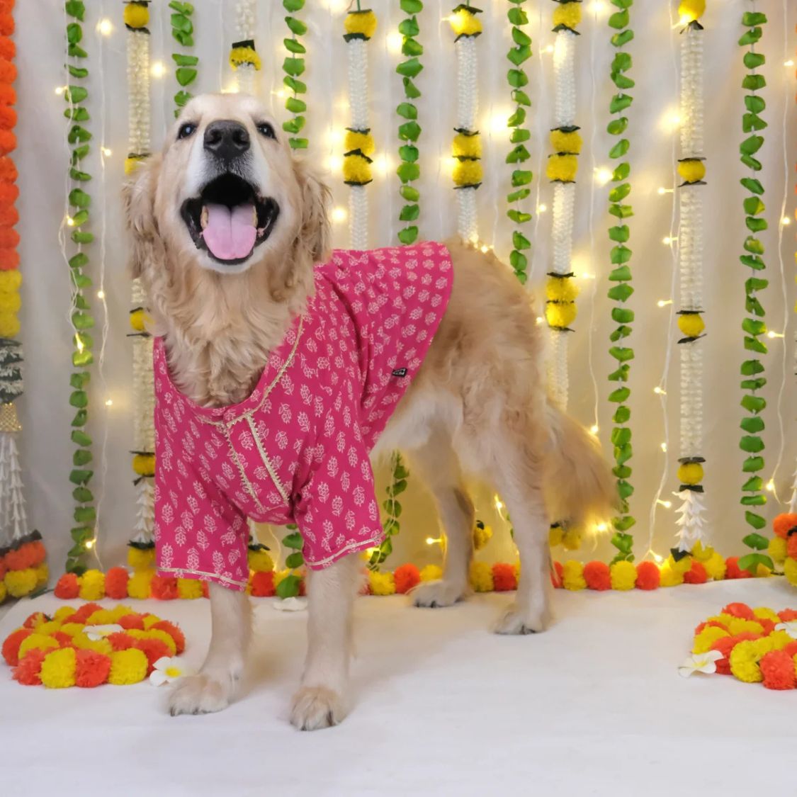 pet kurta