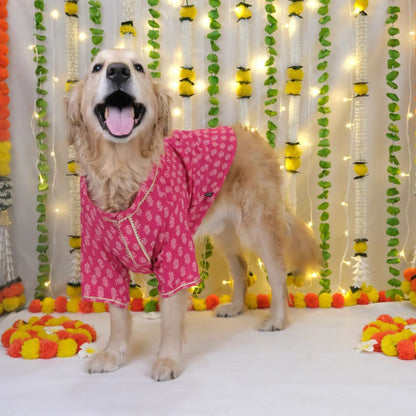 pet kurta