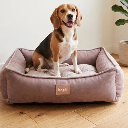 Dog Bed Orthopedic | Pet Cushioned Lounger for Indoor Rest