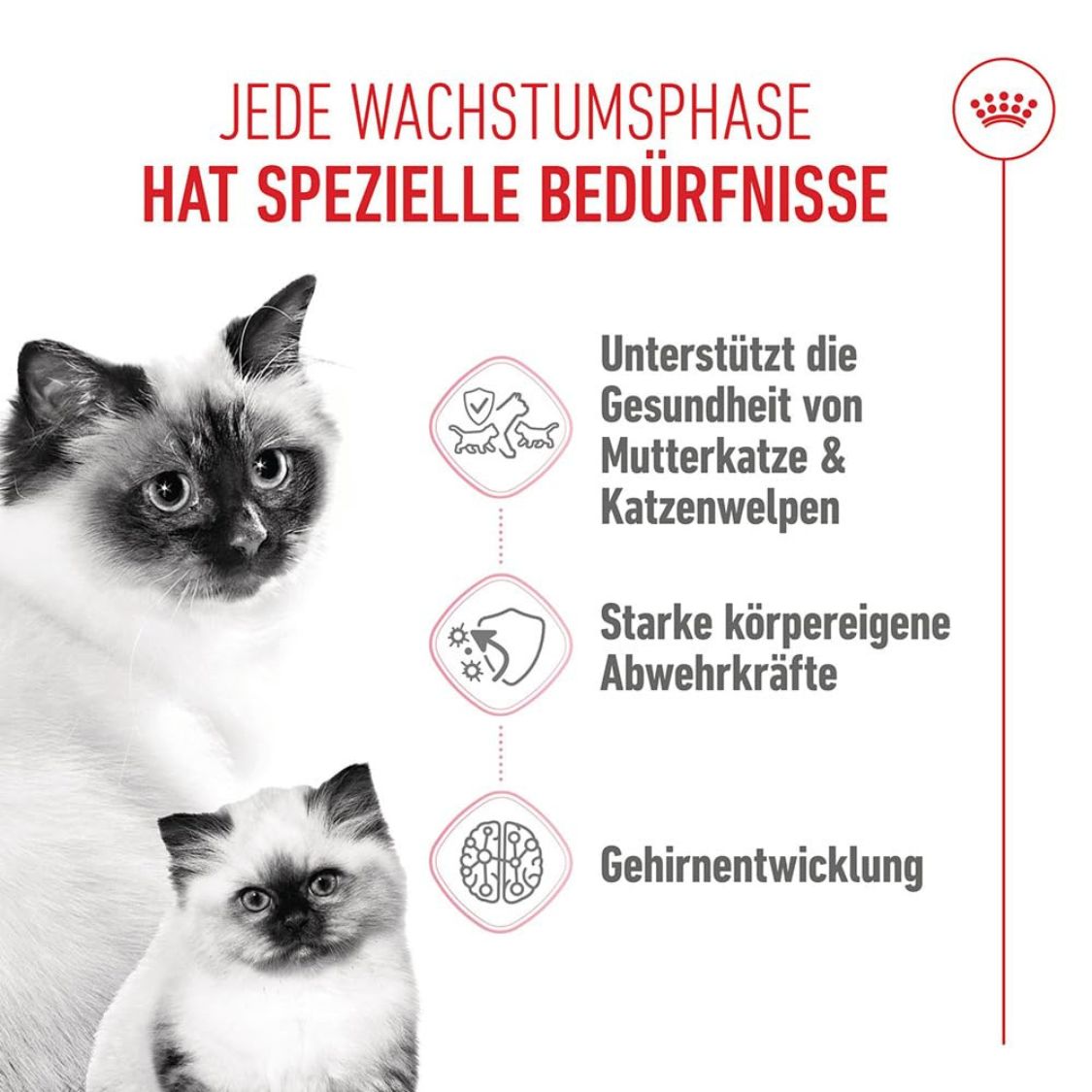 Kitten Food | Dry Cat Food for Mother Cats & Kittens with DHA & Immune Support