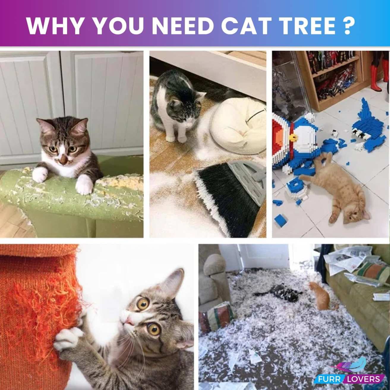 Multiple Condos Kitten Cat Tree - Plush Fur Fabric | Ladder | Top Perches | Playing Balls | Jute Rope Scratching Posts (Height 62 Inch) (Grey)