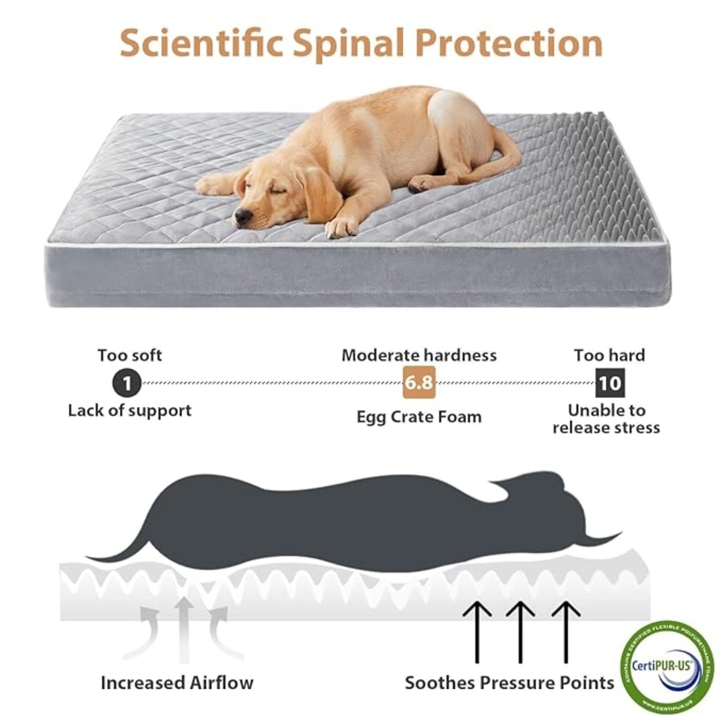 Orthopedic Memory Foam Dog Bed Waterproof, Washable Anti-Slip Large Pet Bed (Light Grey)
