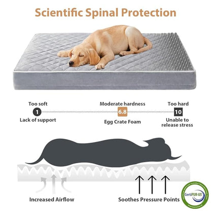 Orthopedic Memory Foam Dog Bed Waterproof, Washable Anti-Slip Large Pet Bed (Light Grey)