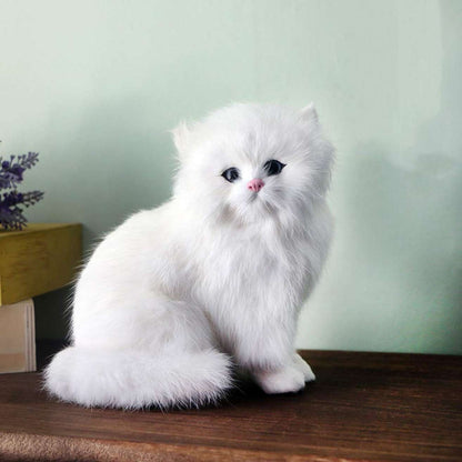 Persian Kitten