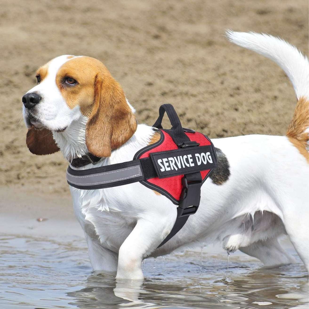 Personalized Reflective Dog Harness | Red