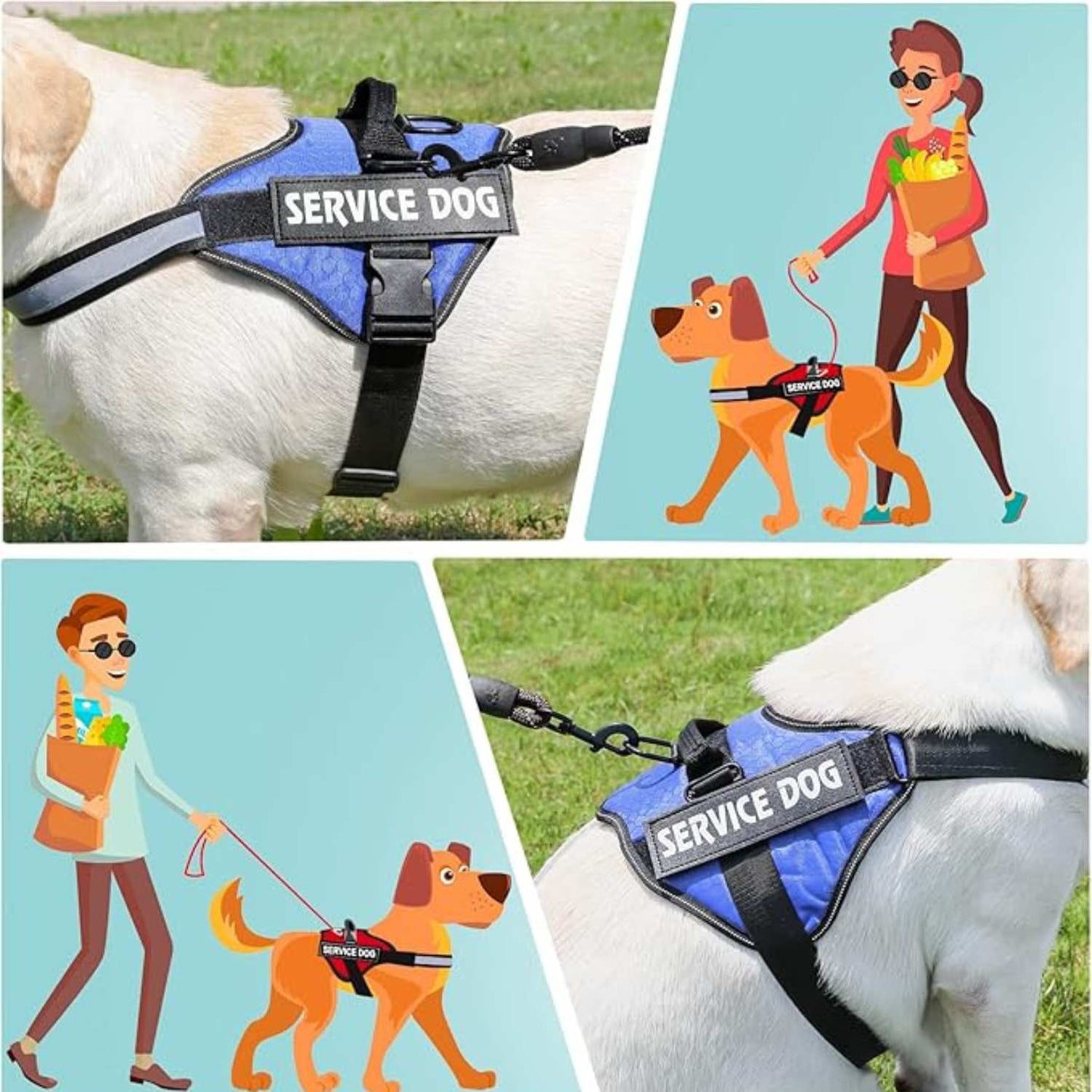 Personalized Reflective Dog Harness | Blue
