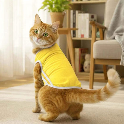 Cat T-Shirt | Pet Breathable T-Shirt for Stylish Daily Comfort - Dive In Stripes