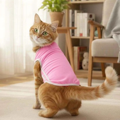 Cat T-Shirt | Pet Breathable T-Shirt for Stylish Daily Comfort - Dive In Stripes