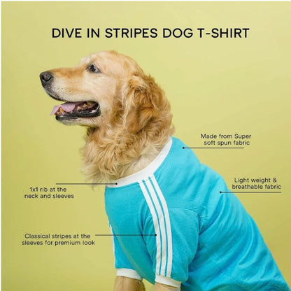 Dog T-Shirt | Dog Cotton T-Shirt for Everyday Comfort - Dive In Stripes