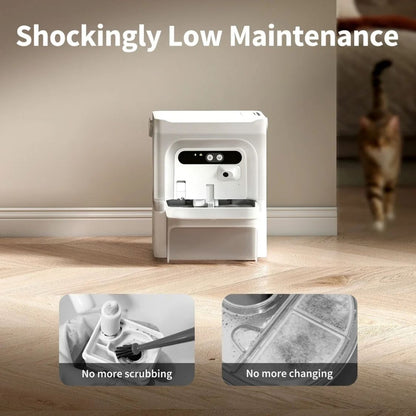 Pet Water Fountain | Pet Drinking Fountain with AI Camera for cats and small-breed dogs