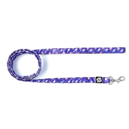 Puppy Collar & Leash Set | Colorful Pet Harness for Daily Walks
