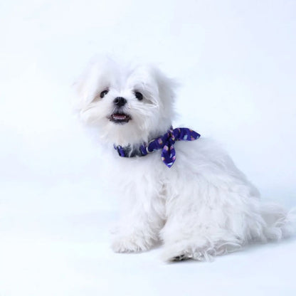 Puppy Collar & Leash Set | Colorful Pet Harness for Daily Walks