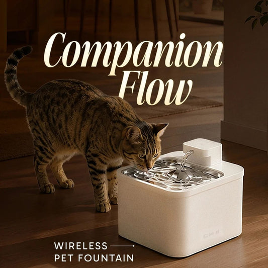 Companion Flow Pet Water Fountain | Rechargeable Puppy Water Fountain