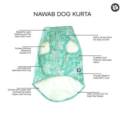 pet ethnic outfit