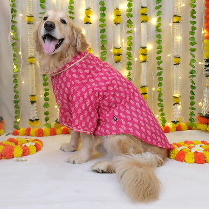 dogs outfit 