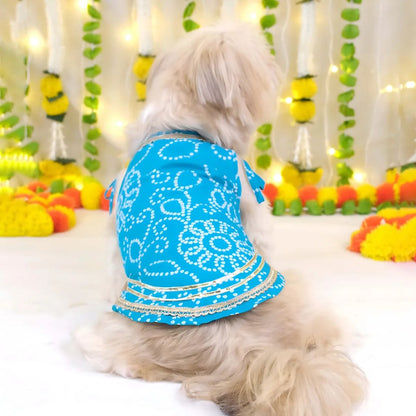 pet festive clothing
