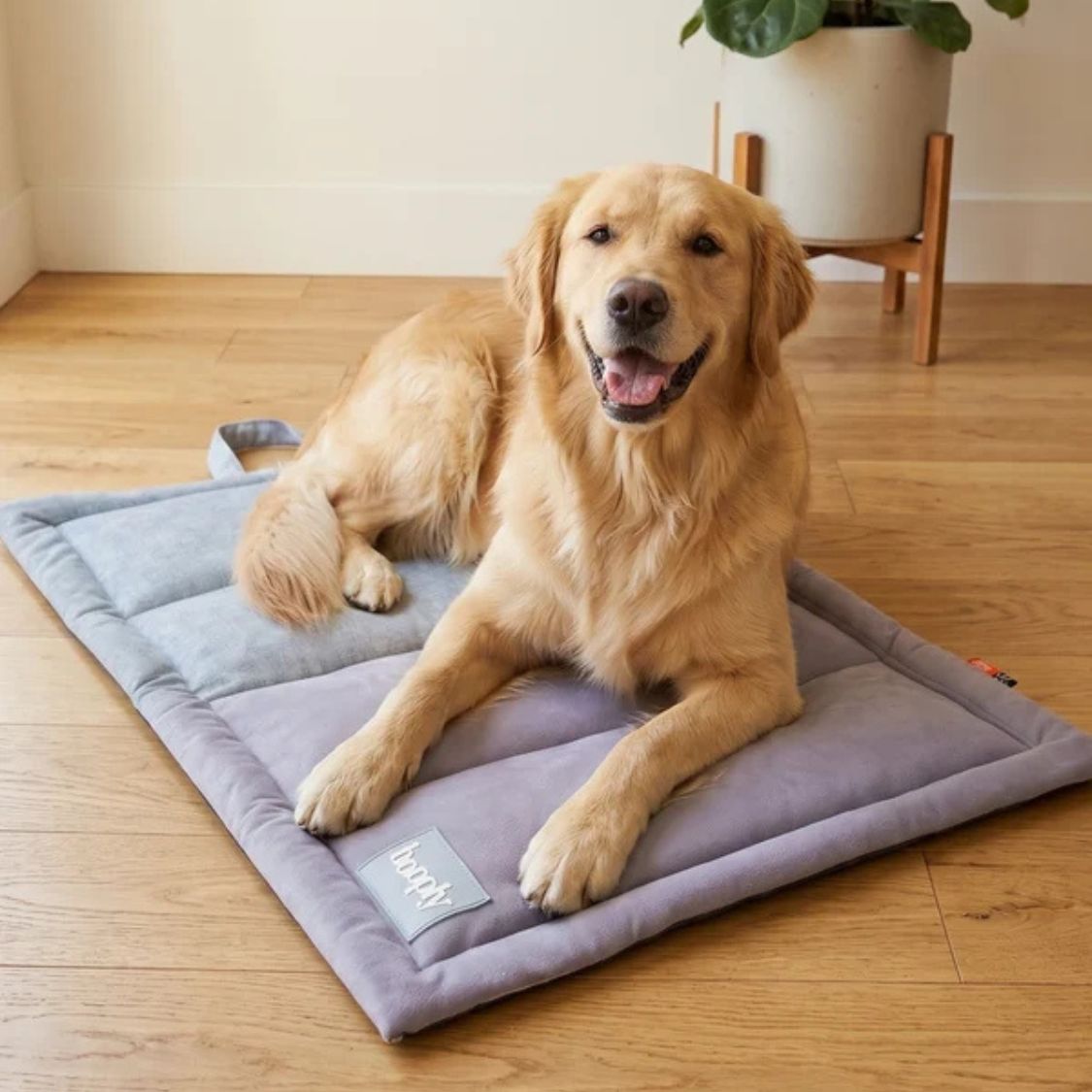 Dog Travel Mat | Pet Floor Pad for Indoor Rest & Daily Comfort