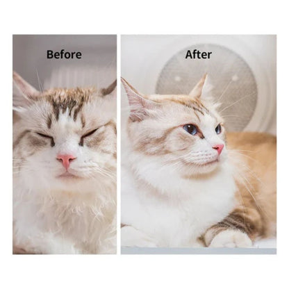 Pet Dryer Box for Cats & Small Dogs | Ultra-Quiet 360° Hands-Free Grooming Dryer