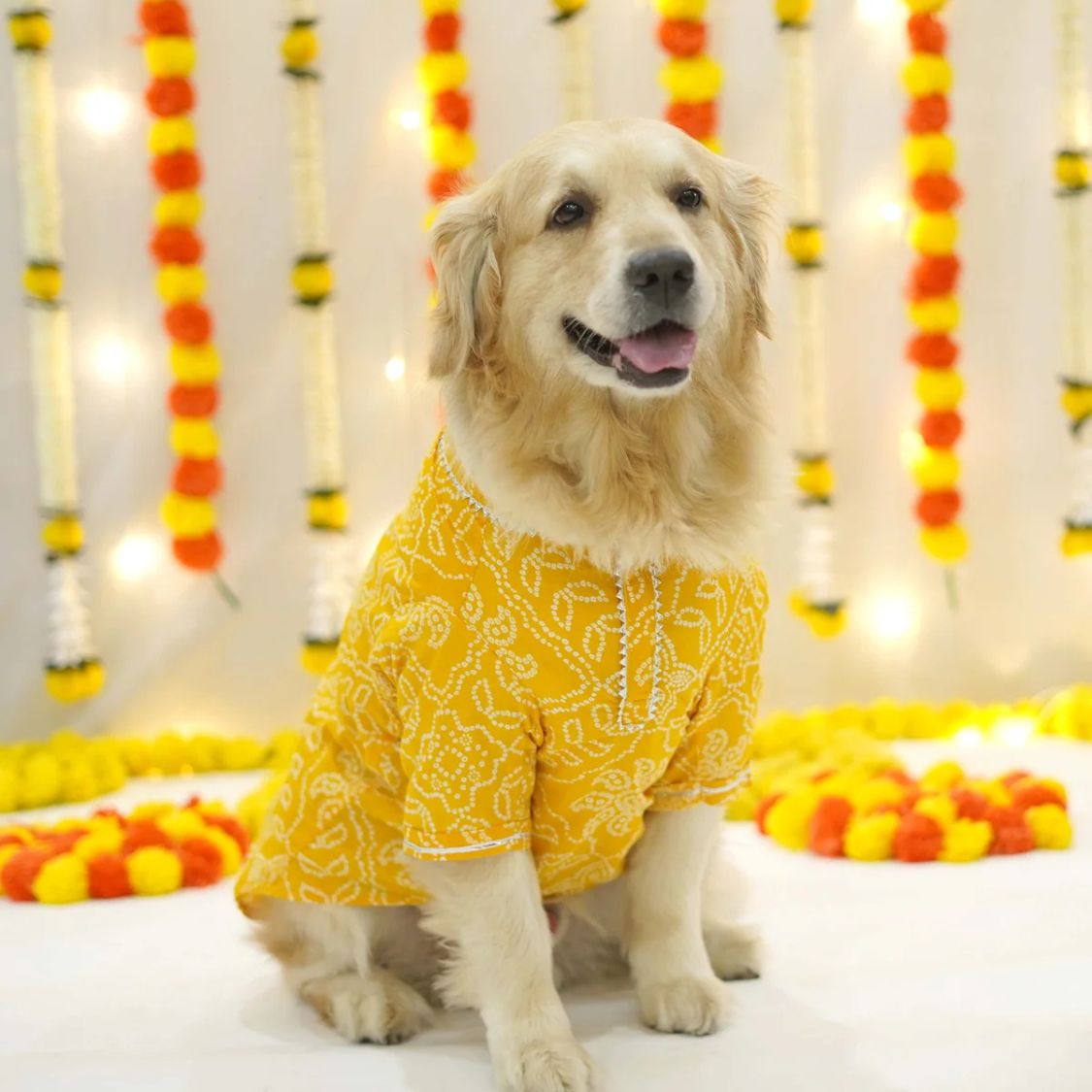 pet kurta