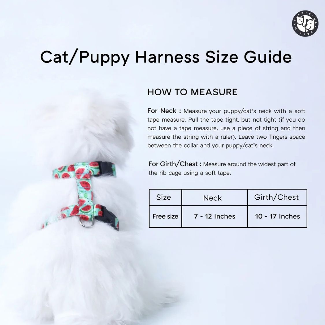 Puppy Collar & Leash Set | Colorful Pet Harness for Daily Walks