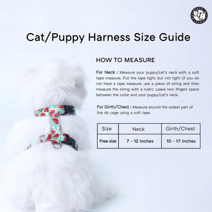 Puppy Collar & Leash Set | Colorful Pet Harness for Daily Walks
