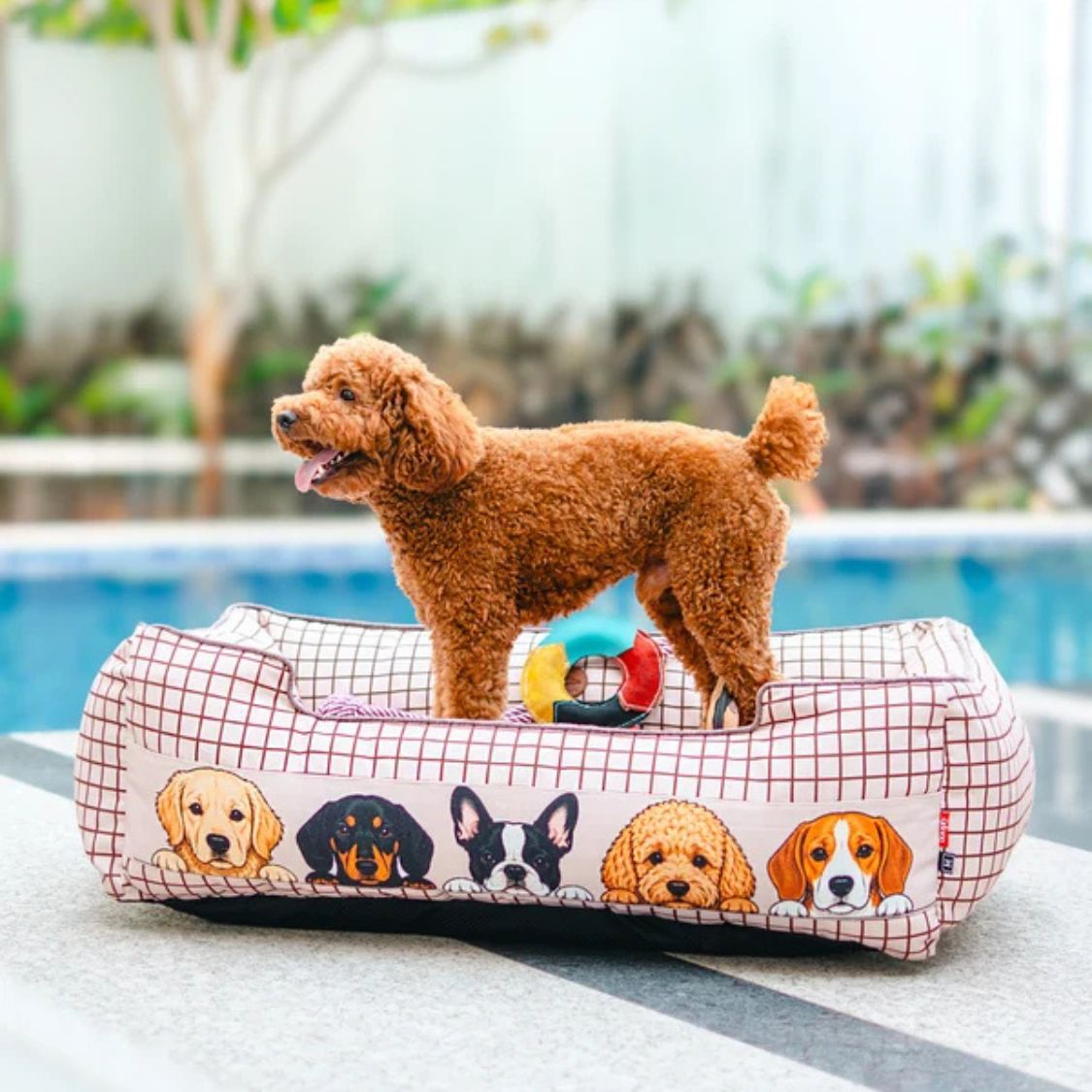 Dog Bed Orthopedic Soft Cushioned | Pet Bed for Indoor Rest Sleep