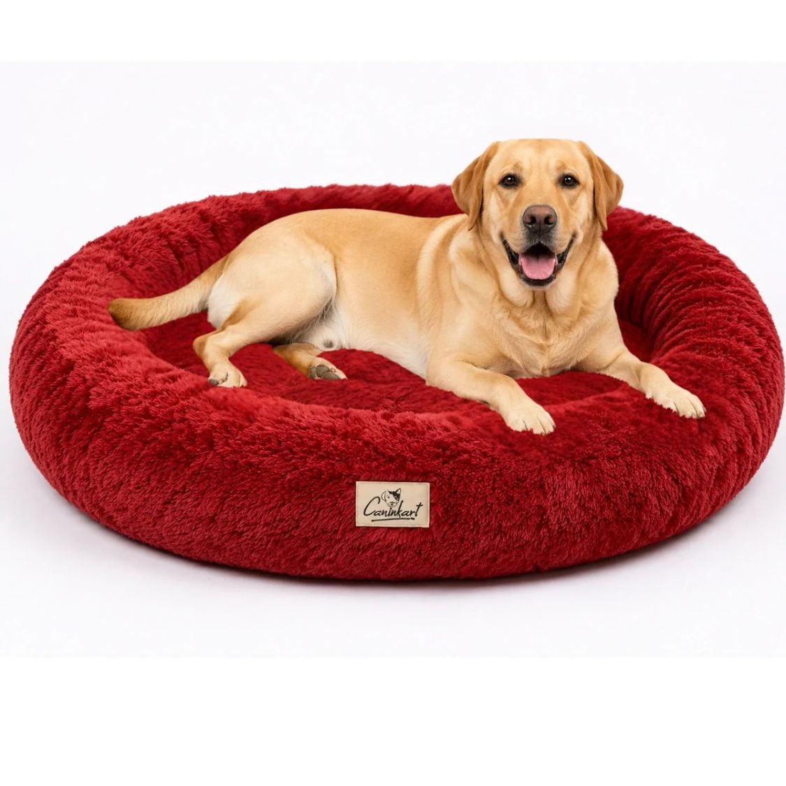 pet sleeping bed