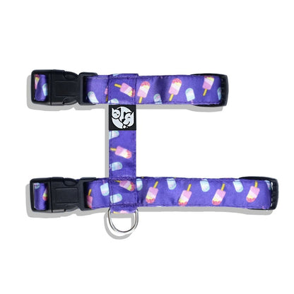 Puppy Collar & Leash Set | Colorful Pet Harness for Daily Walks