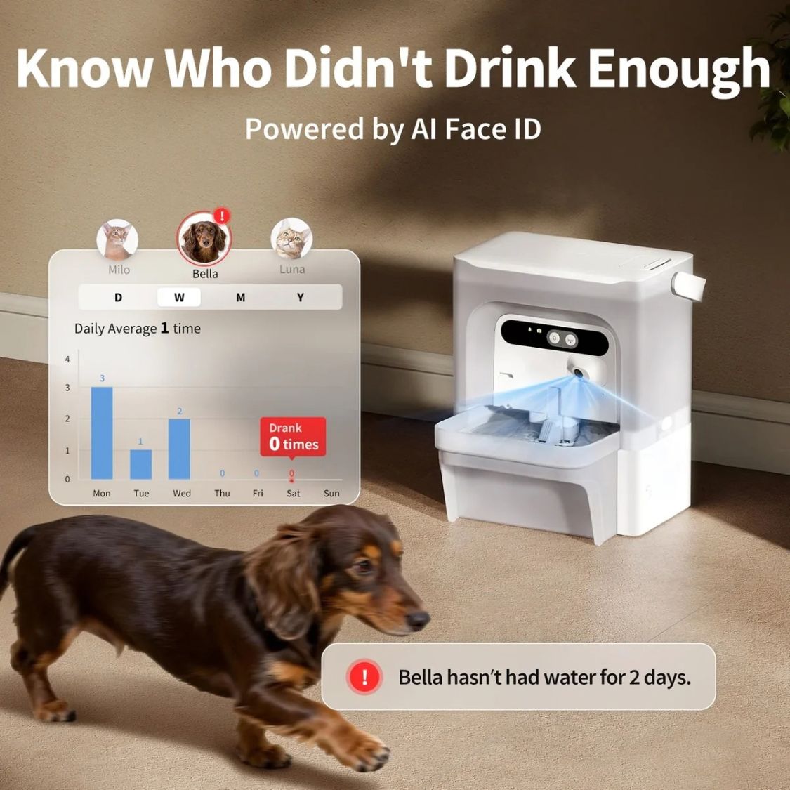 Pet Water Fountain | Pet Drinking Fountain with AI Camera for cats and small-breed dogs