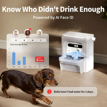 Pet Water Fountain | Pet Drinking Fountain with AI Camera for cats and small-breed dogs