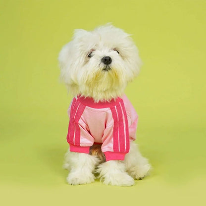 Dog T-Shirt | Dog Cotton T-Shirt for Everyday Comfort - Dive In Stripes