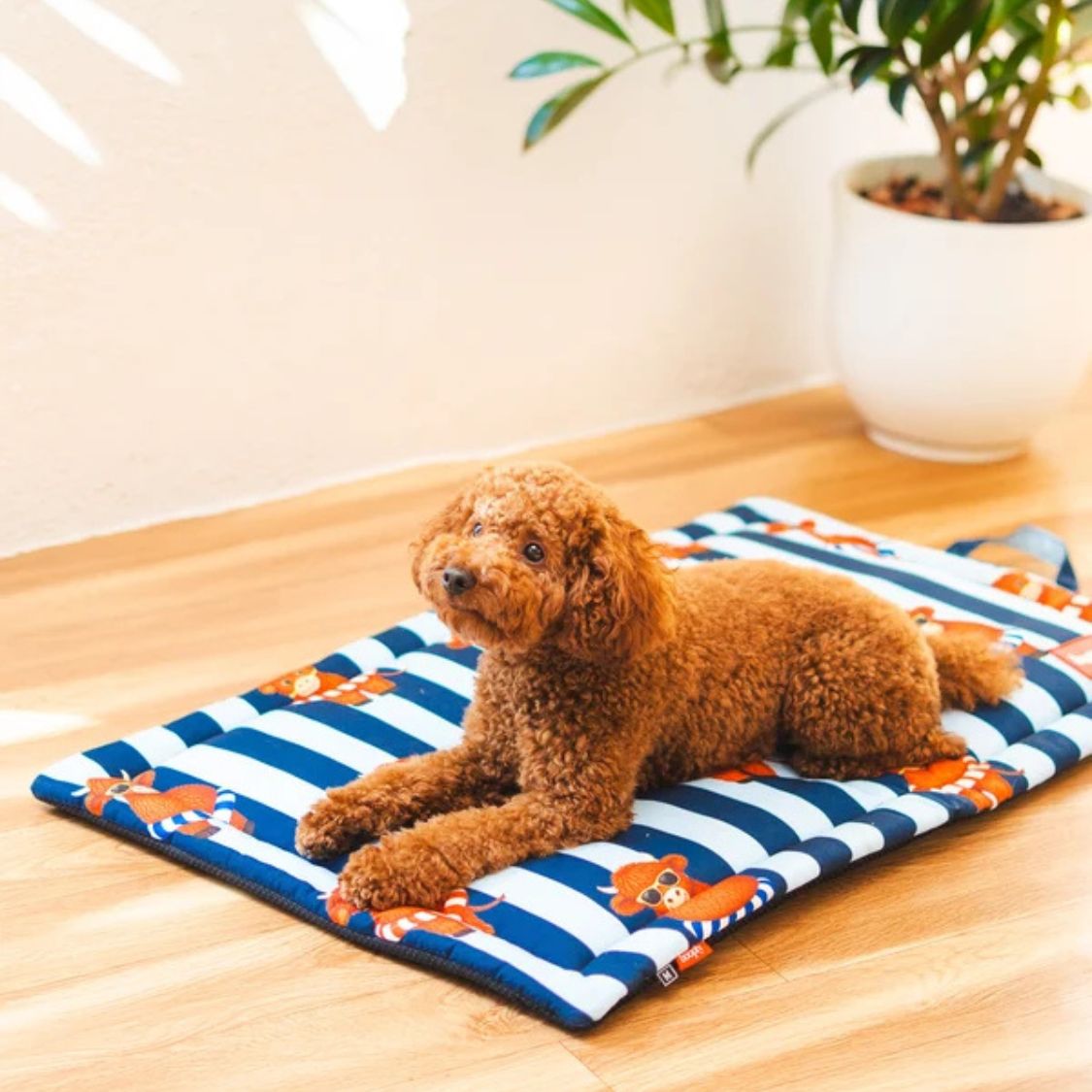 Dog Mat | Pet Mat for Dogs & Cats Rest Travel & Everyday Comfort